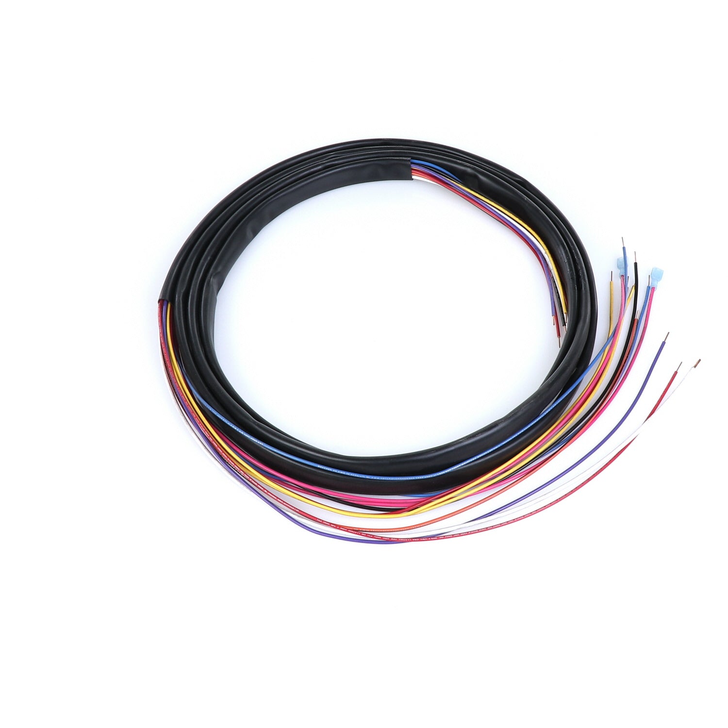 True 971922 Wire Harness — Genuine OEM