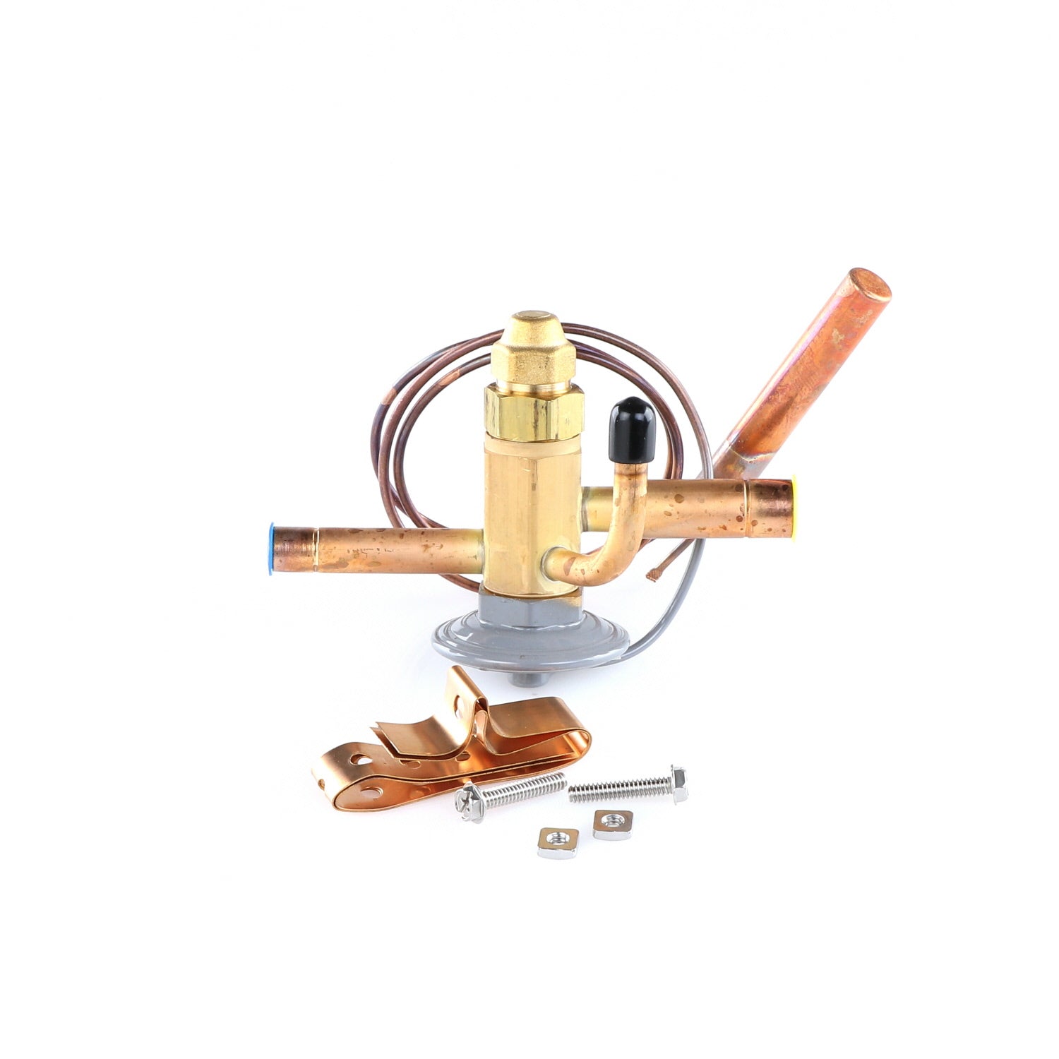 True 813301 Valve — Genuine OEM