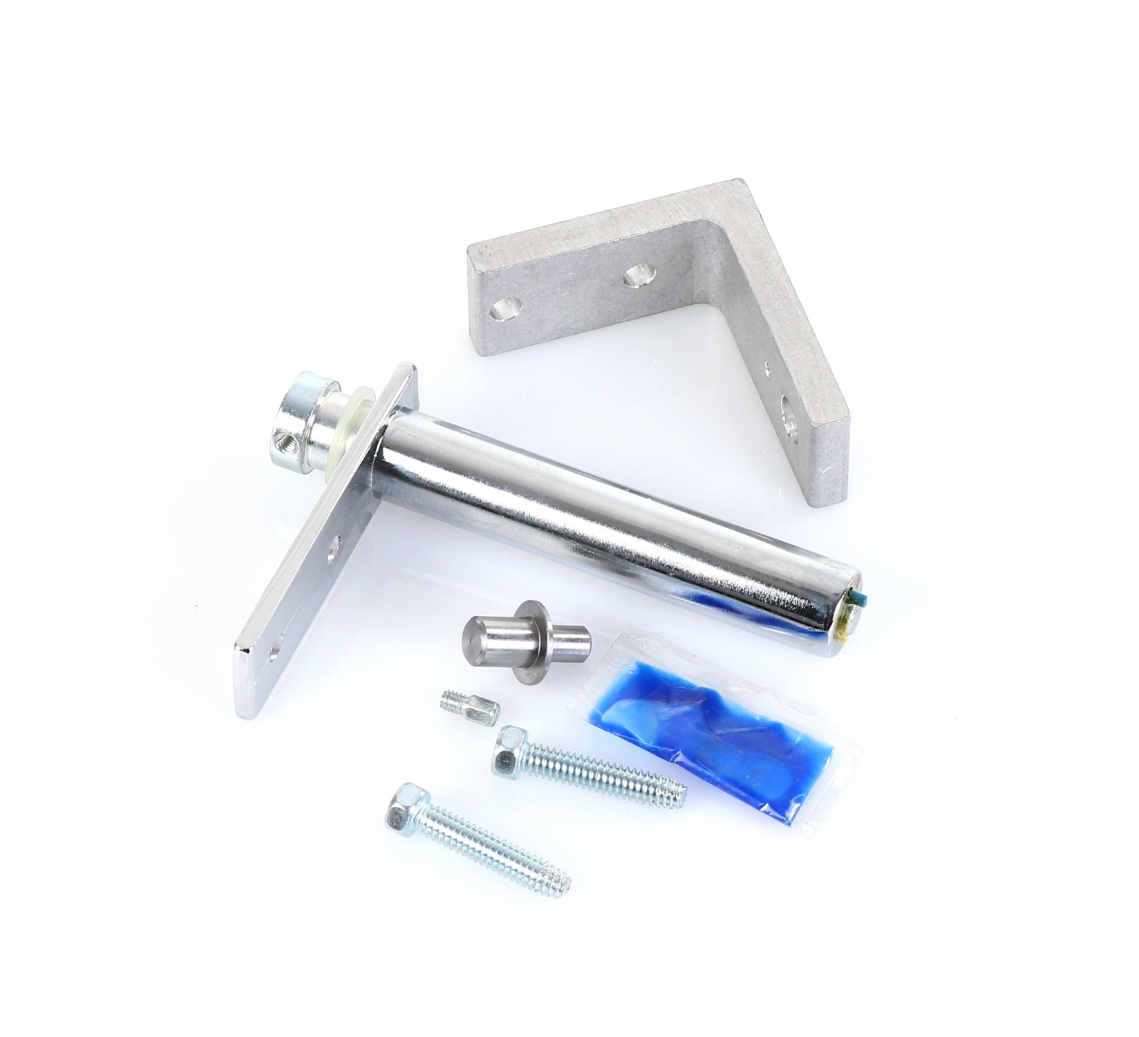 True 975269 Hinge — Genuine OEM