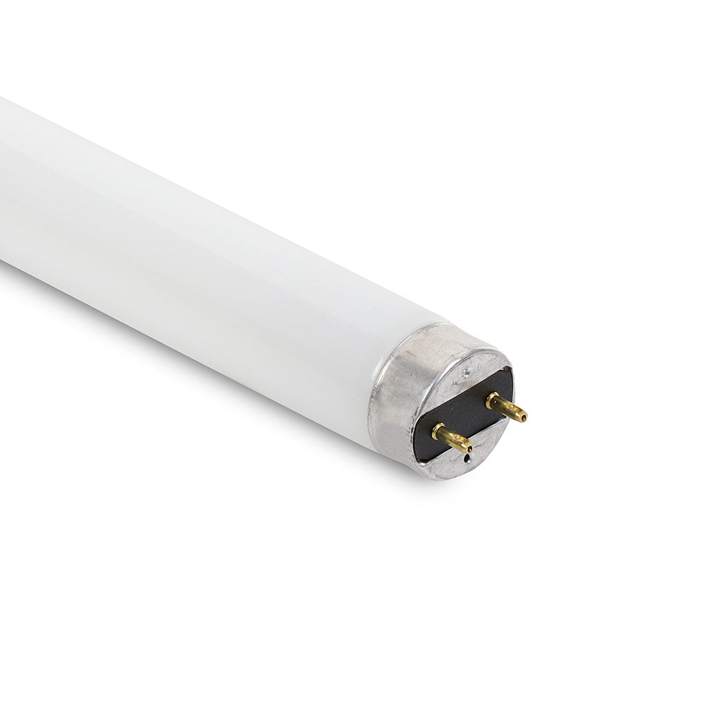 True 801102 Lamp — Genuine OEM