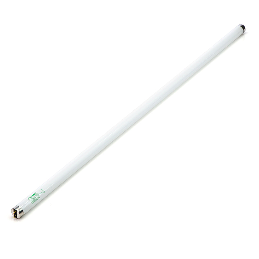 True 801156 Lamp — Genuine OEM