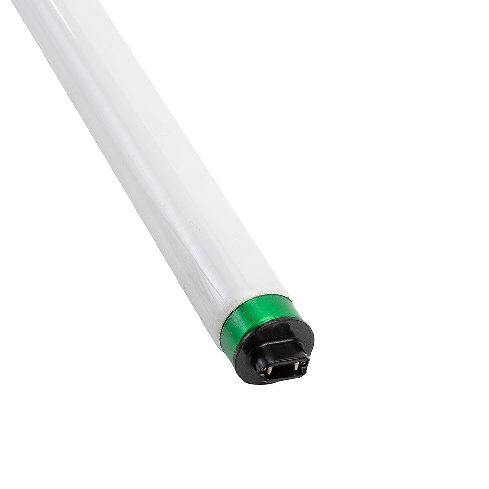 True 801168 Lamp — Genuine OEM