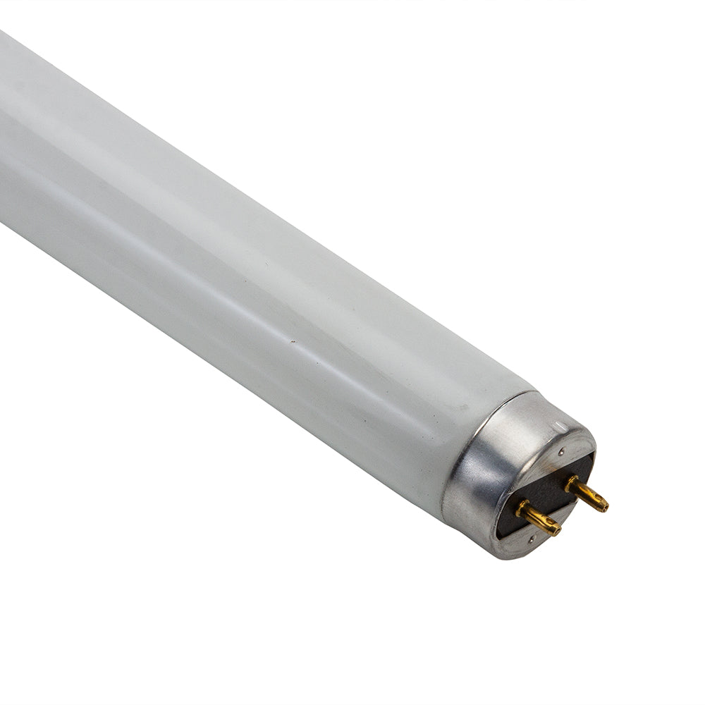 True 801922 Lamp — Genuine OEM